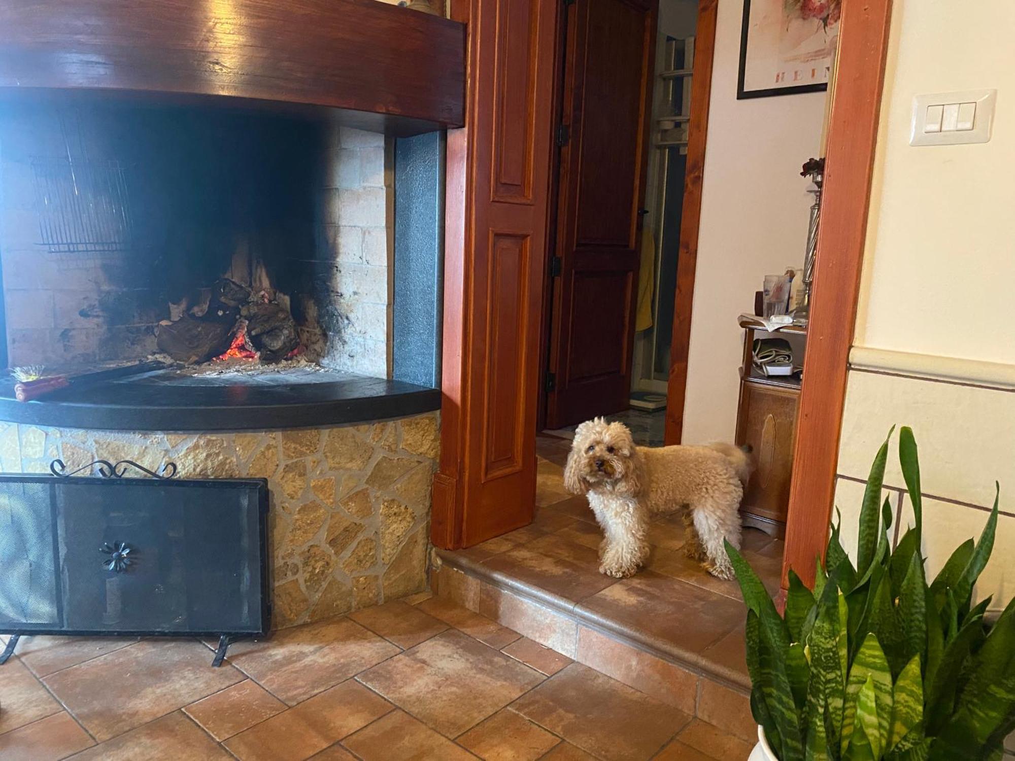 Masseria Tre Archi & Apulia Relais Gentiluomo Oda fotoğraf